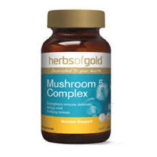 Mushroom 5 Complex